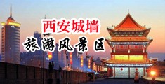 日韩屄中国陕西-西安城墙旅游风景区